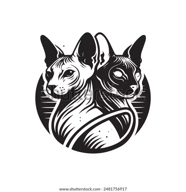 Exotic Sphynx Cattery